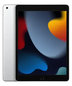 iPad 10.2 9th Gen (2021)
